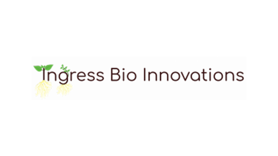 logo-design